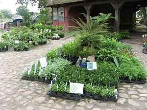 Pflanzenmarkt Kiekeberg